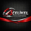 Goktug Celik