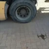 KADINHANI OTO LASTİKÇİ